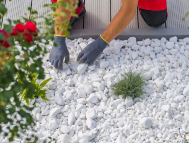 Для ландшафта